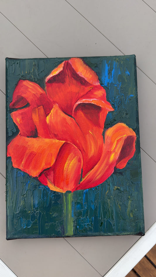 A square canvas painting of a vibrant red-orange tulip with thick impasto brushstrokes, set against a dark teal background