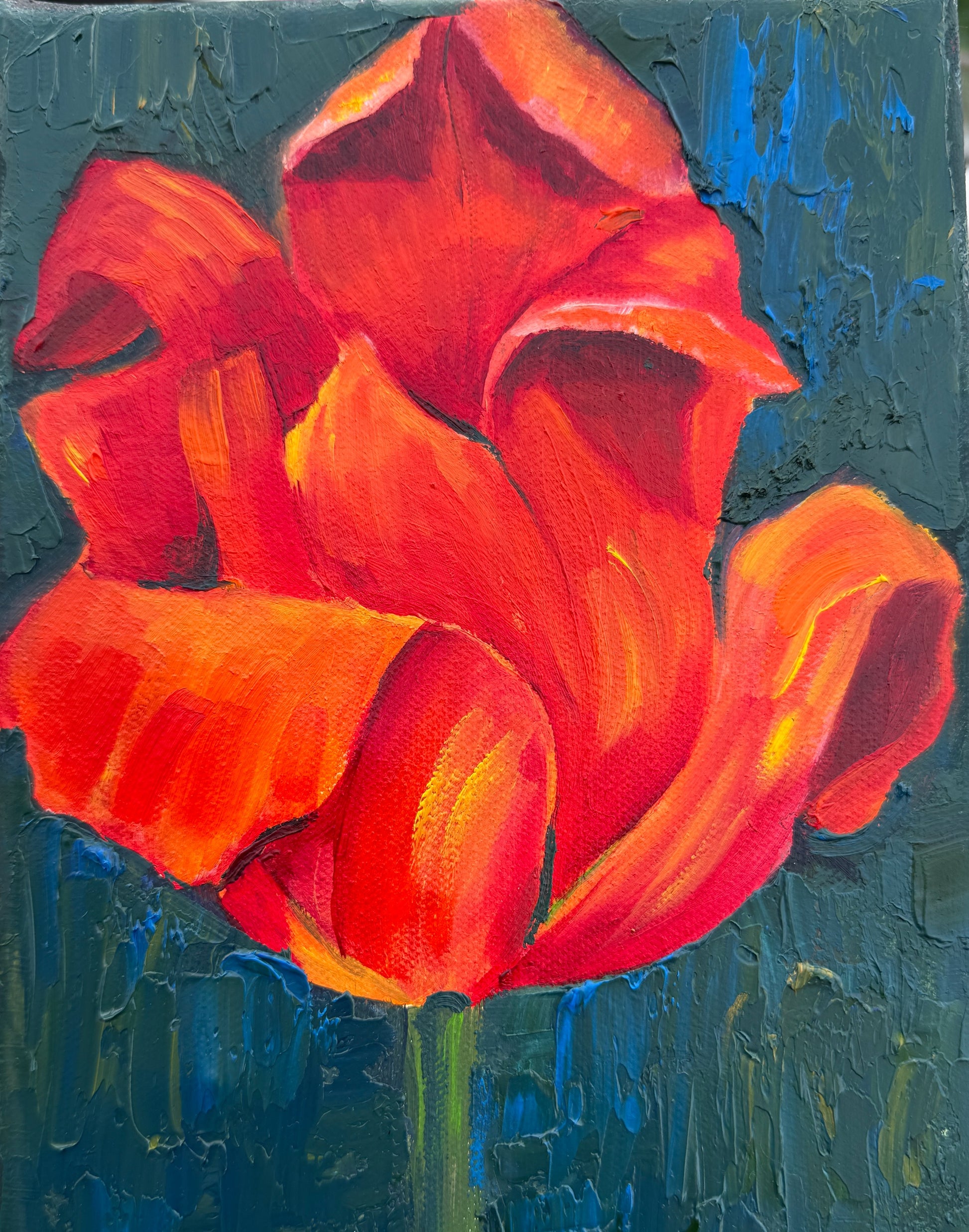 An expressive oil painting of a vibrant red-orange tulip with thick impasto brushstrokes, set against a textured dark blue and teal background.
