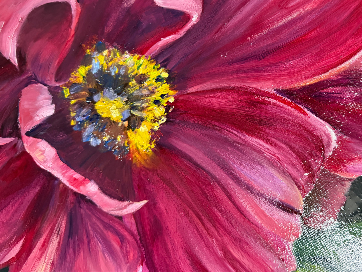 Close-up of a pink flower with a yellow center on a dark background