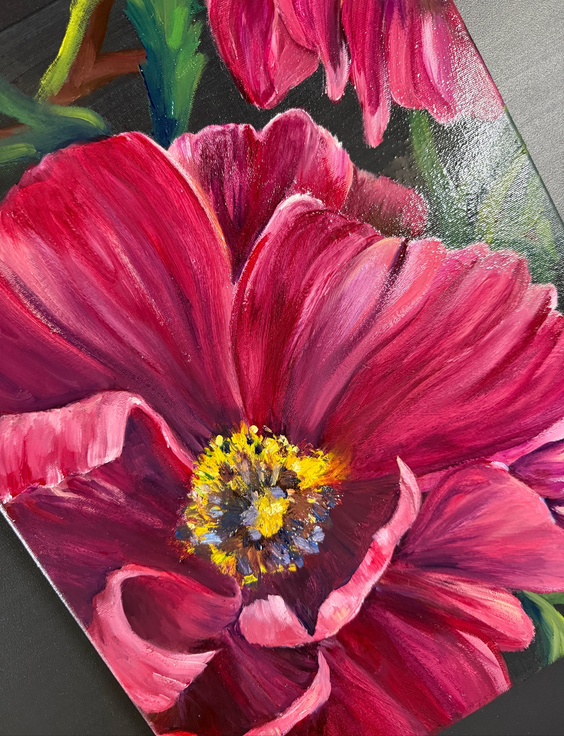 Close-up of a pink flower with a yellow center on a dark background