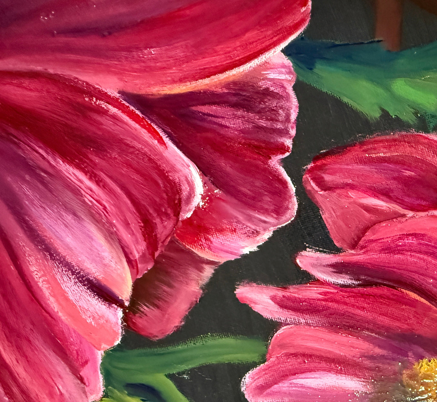 Close-up of pink flowers with green leaves on a dark background